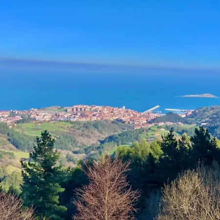 Ogono Bermeo